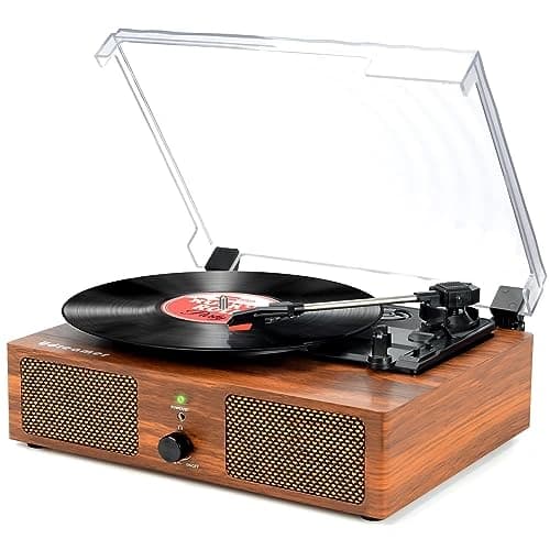 best speakers with rca input